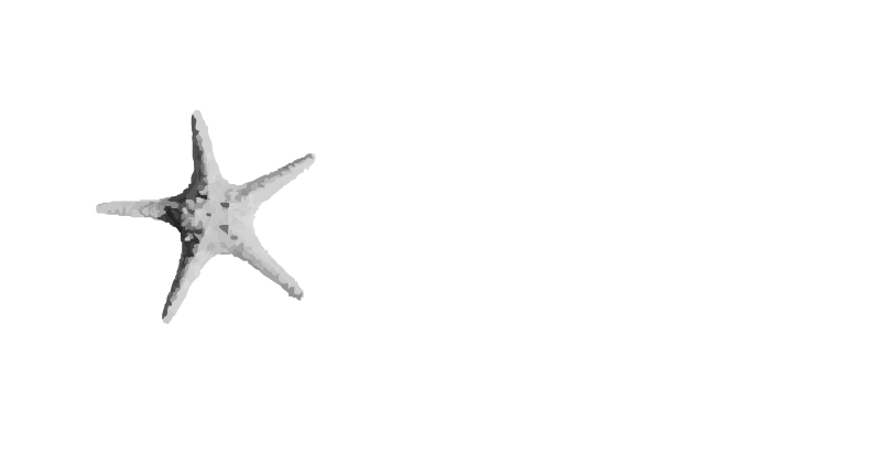 Logo Hotel Playa Blanca